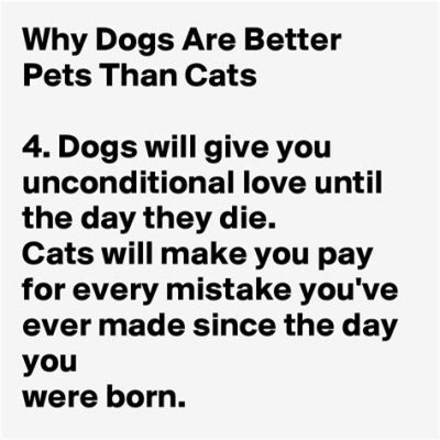 Why Dogs Are Better Than Cats Essay: A Tail of Unconditional Love and Misplaced Socks